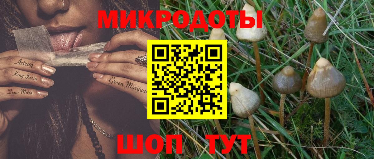 Галлюциногенные грибы мицелий Старая Купавна