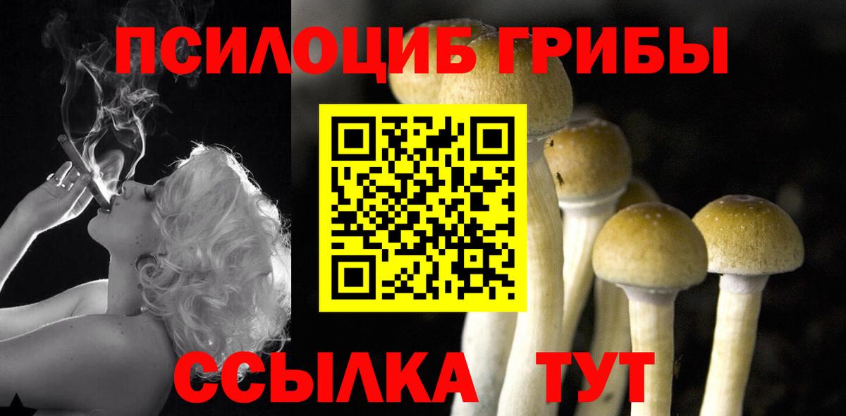 Старая Купавна  Галлюциногенные грибы MAGIC MUSHROOMS  Вход с VPN 